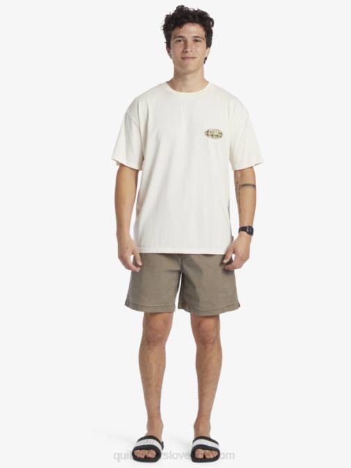 Quiksilver PJ4H741 moški breza majica s kratkimi rokavi clear mind