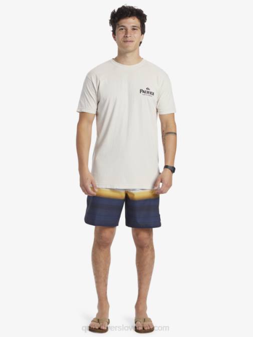 Quiksilver x Pacifico PJ4H9 moški kamen majica s kratkimi rokavi scenic vibes