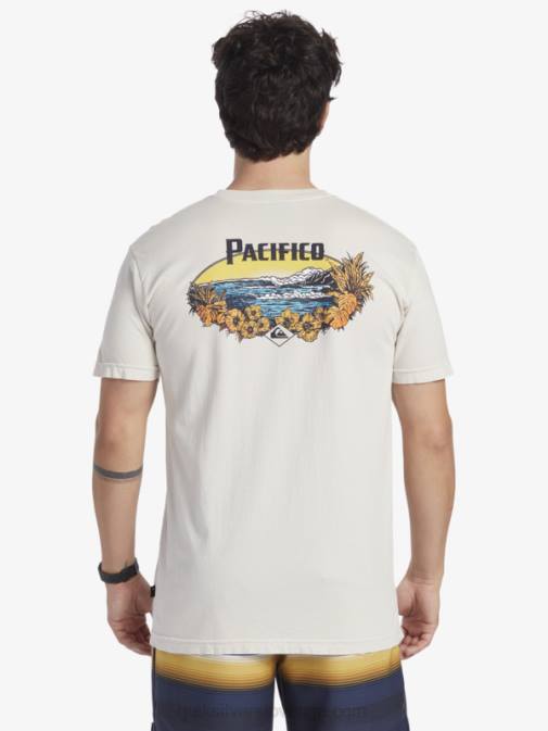 Quiksilver x Pacifico PJ4H9 moški kamen majica s kratkimi rokavi scenic vibes