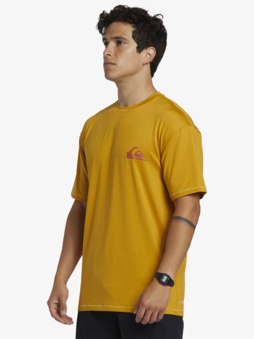 Quiksilver PJ4H317 moški pšenica majica za deskanje s kratkimi rokavi mix session upf 50