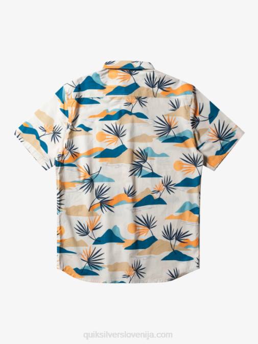 Quiksilver PJ4H666 moški breza počasna omamljenost ss slow dazed majica s kratkimi rokavi
