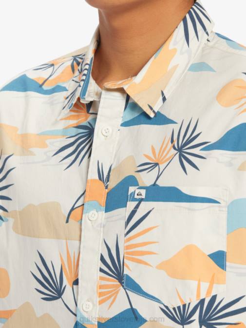 Quiksilver PJ4H666 moški breza počasna omamljenost ss slow dazed majica s kratkimi rokavi